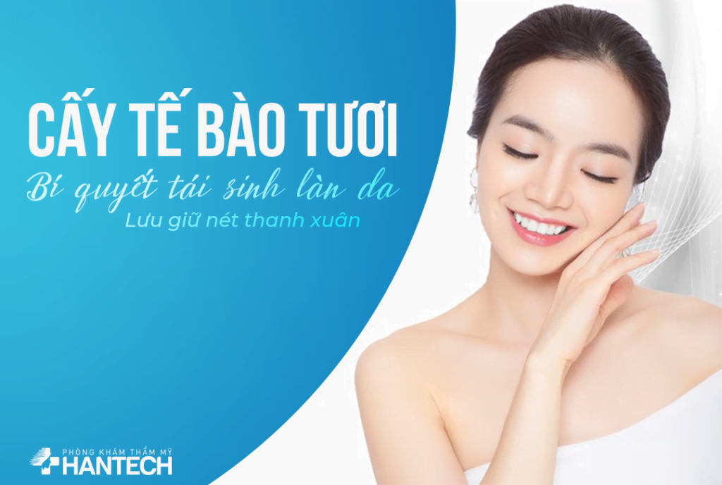 Cấy tế bào tươi Baby White